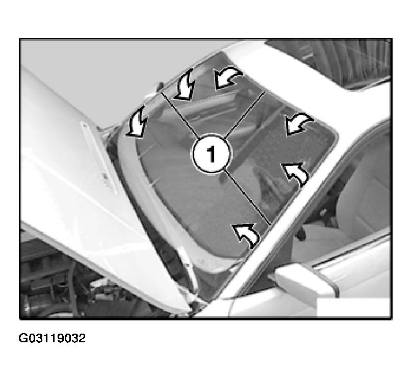 G03119032