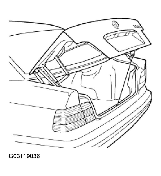 G03119036