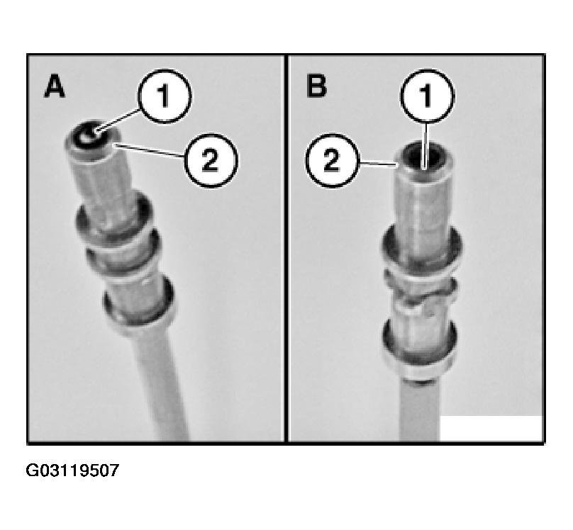 G03119507