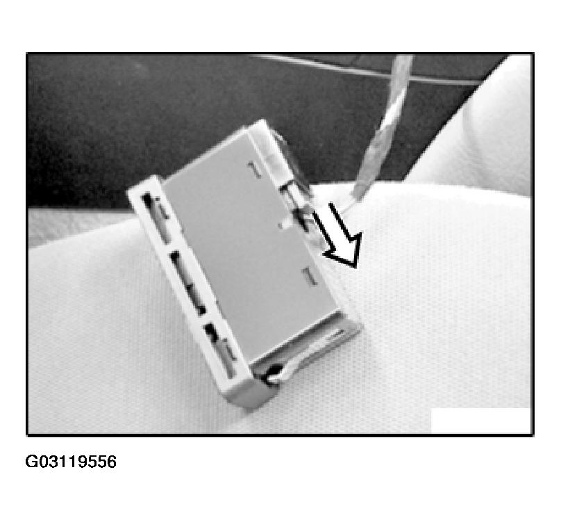 G03119556