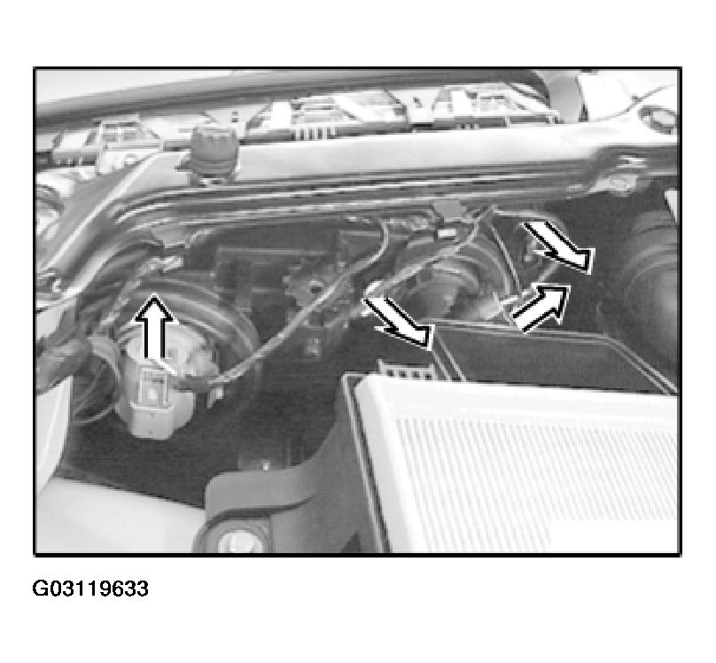 G03119633