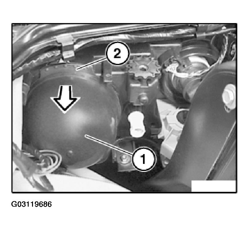 G03119686