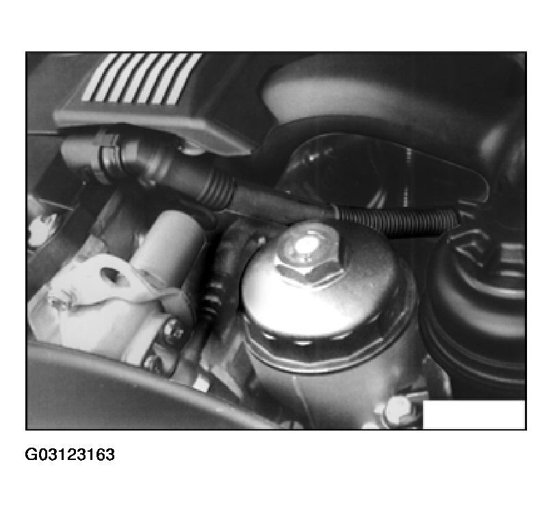 G03123163