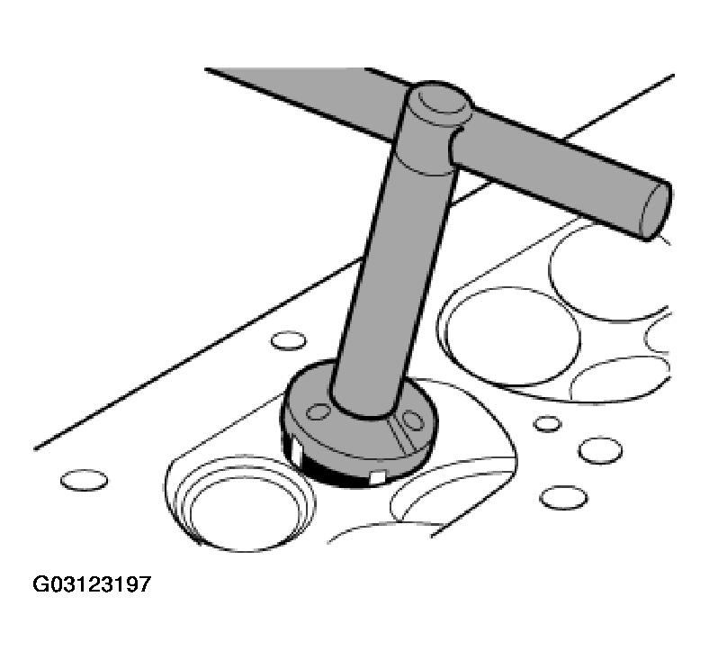 G03123197