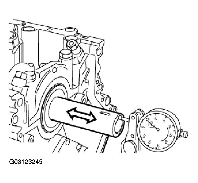 G03123245