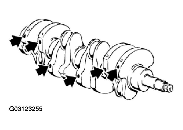 G03123255