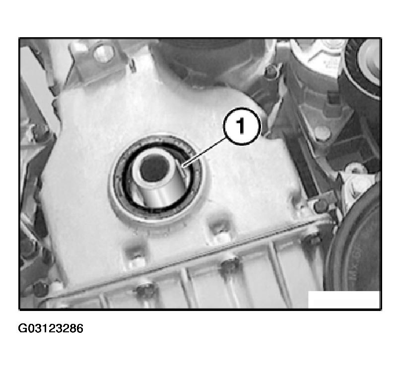 G03123286