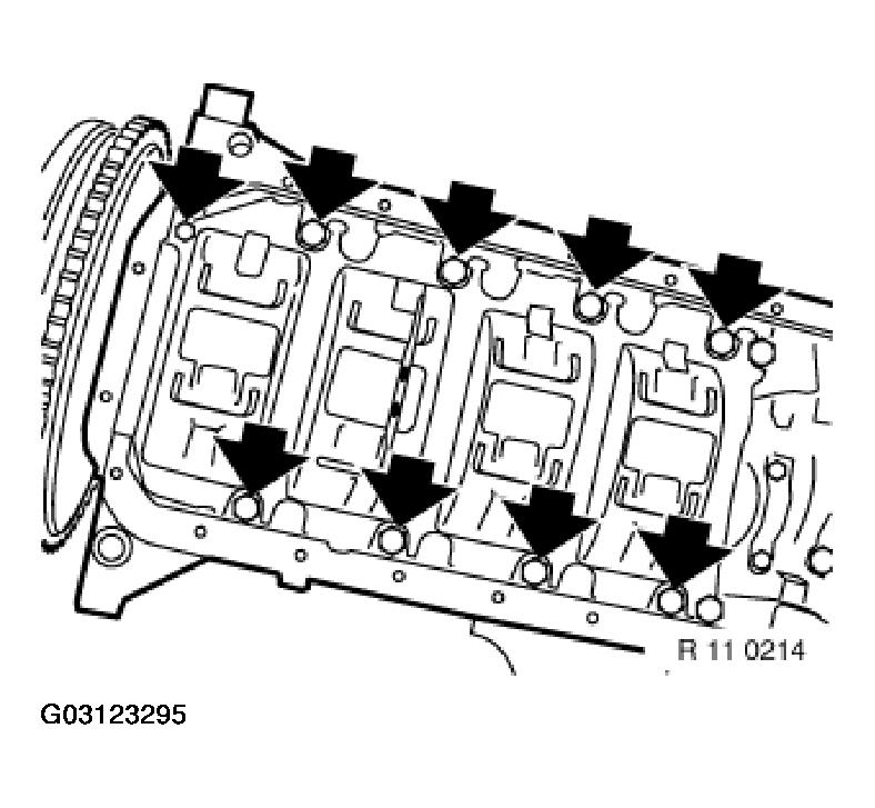 G03123295