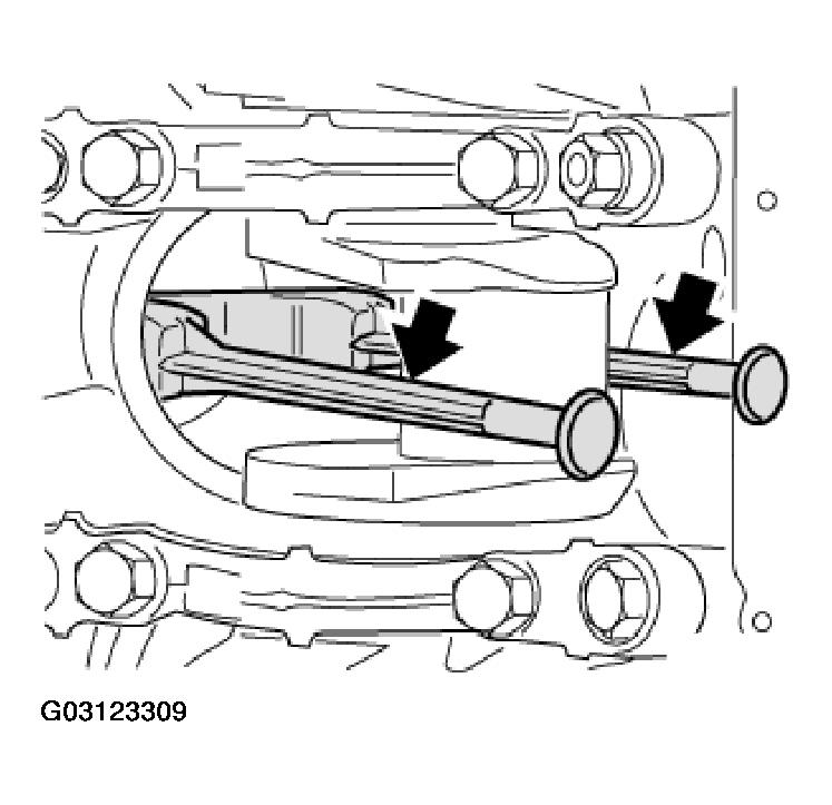 G03123309