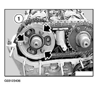 G03123436