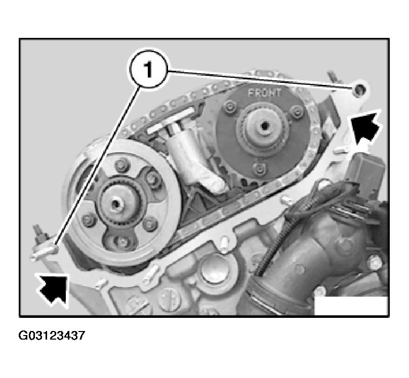 G03123437