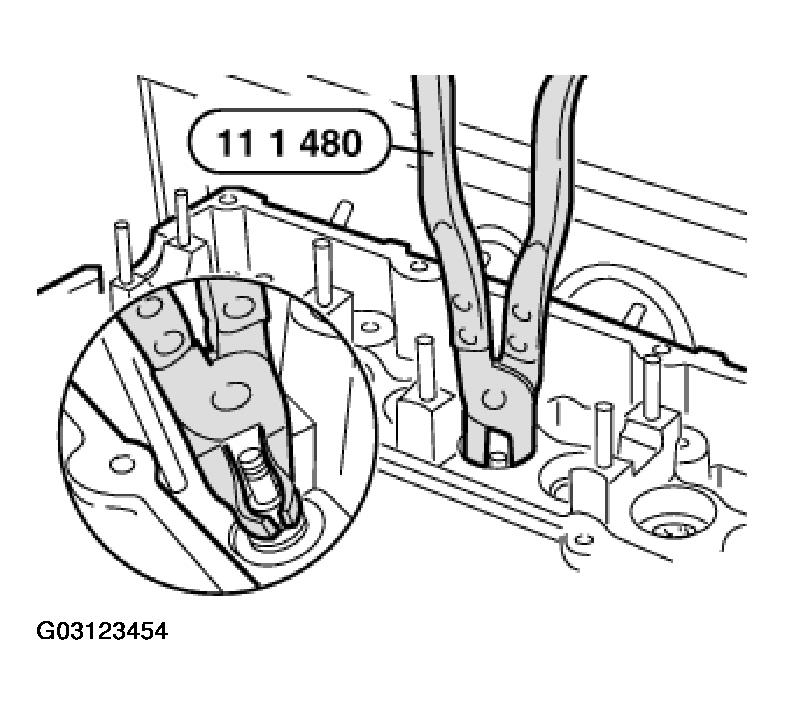 G03123454