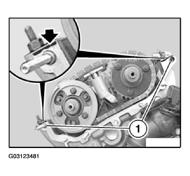 G03123481