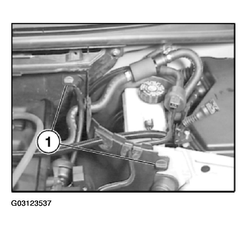 G03123537