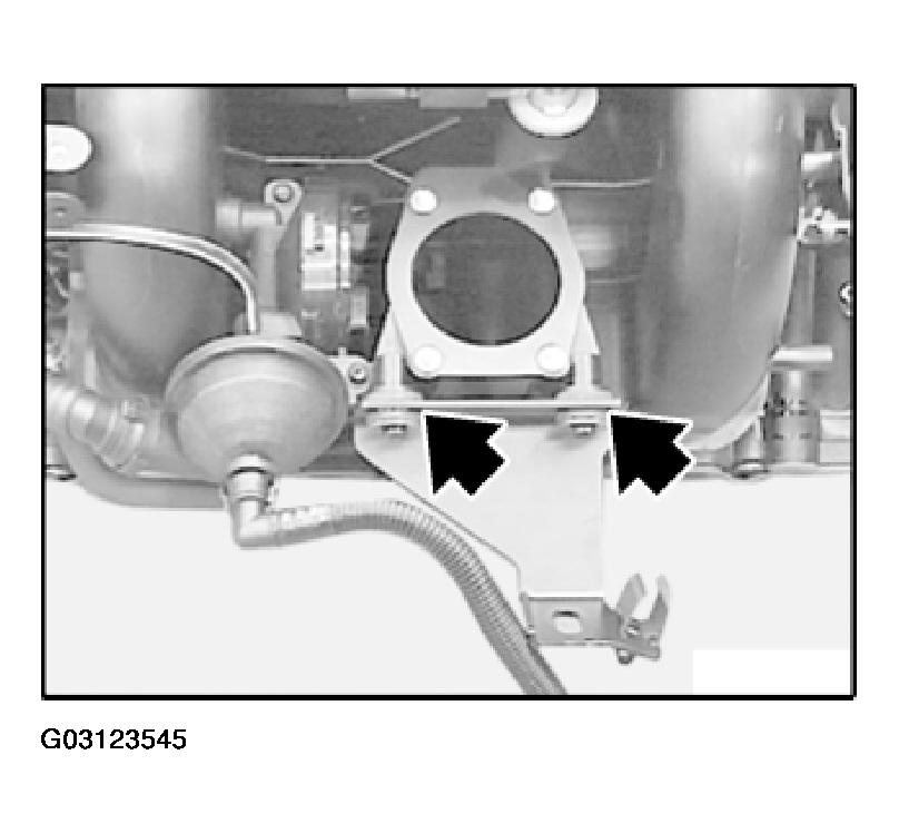 G03123545