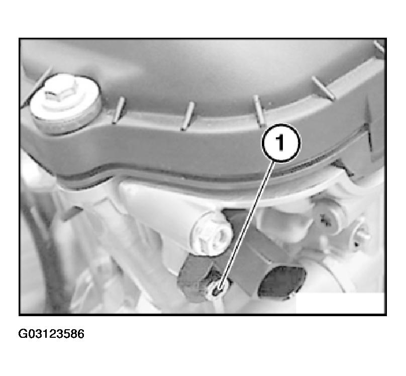 G03123586
