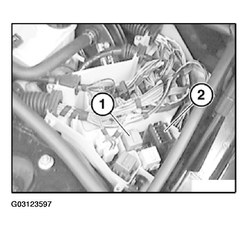 G03123597