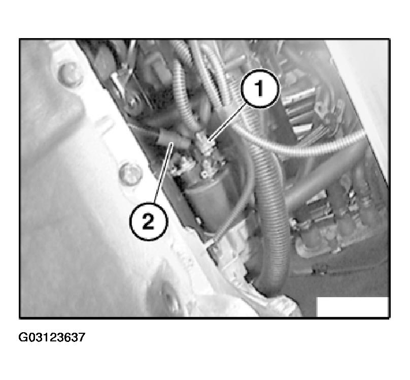 G03123637