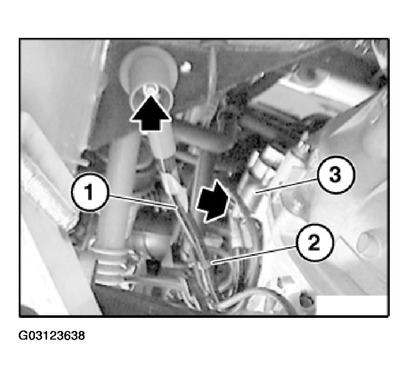 G03123638