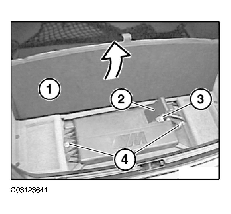 G03123641