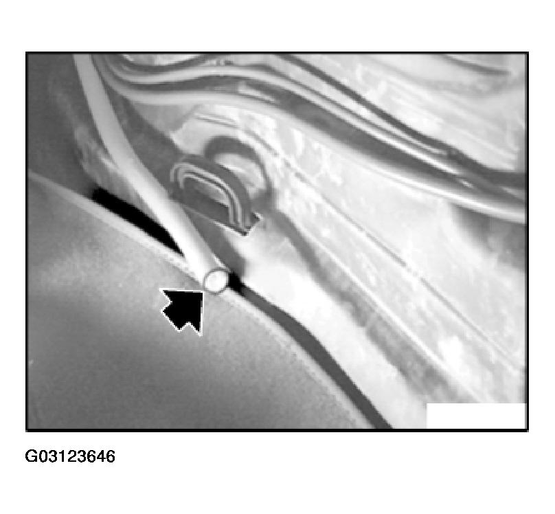 G03123646