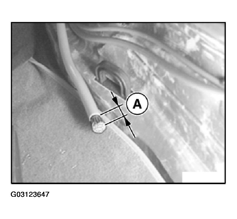 G03123647