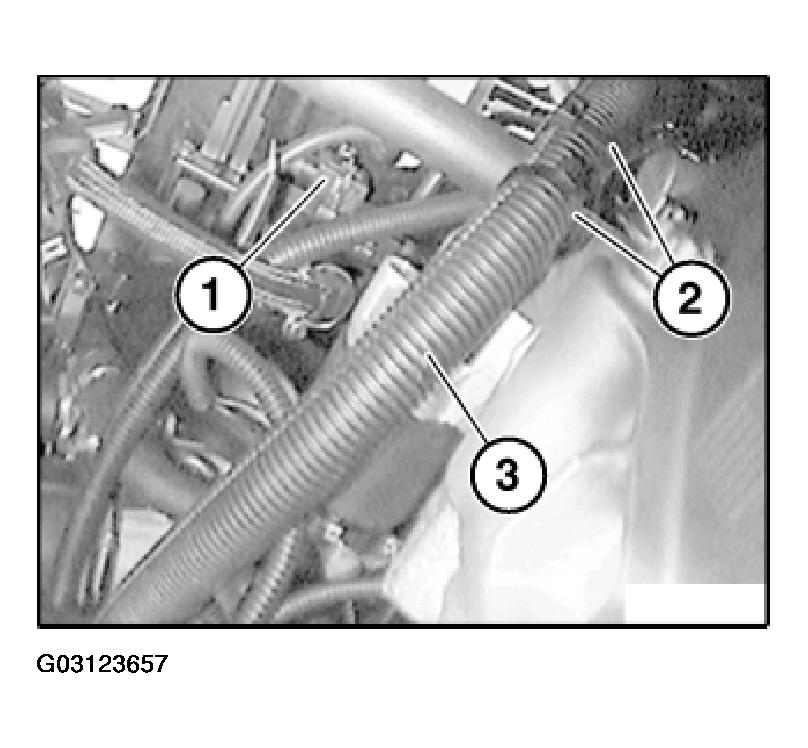G03123657