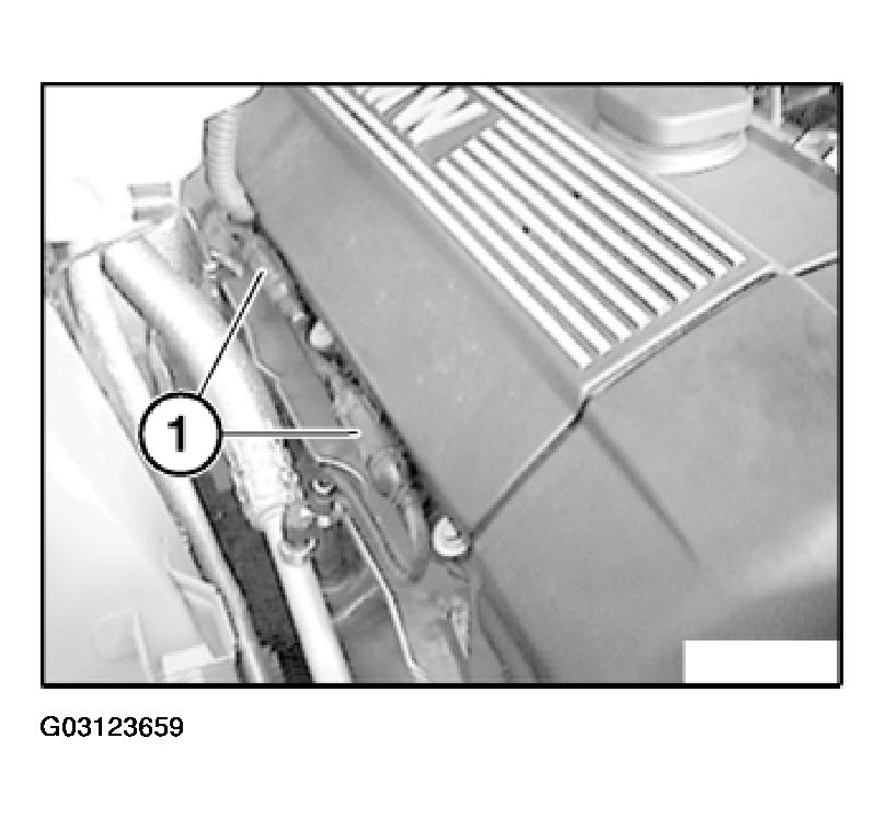 G03123659