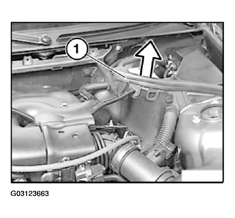 G03123663