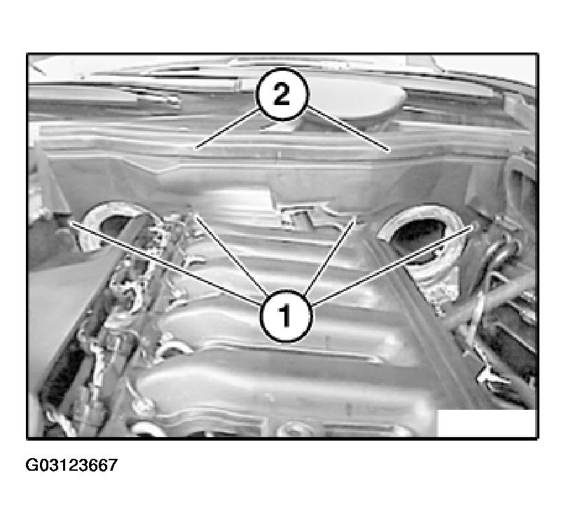 G03123667