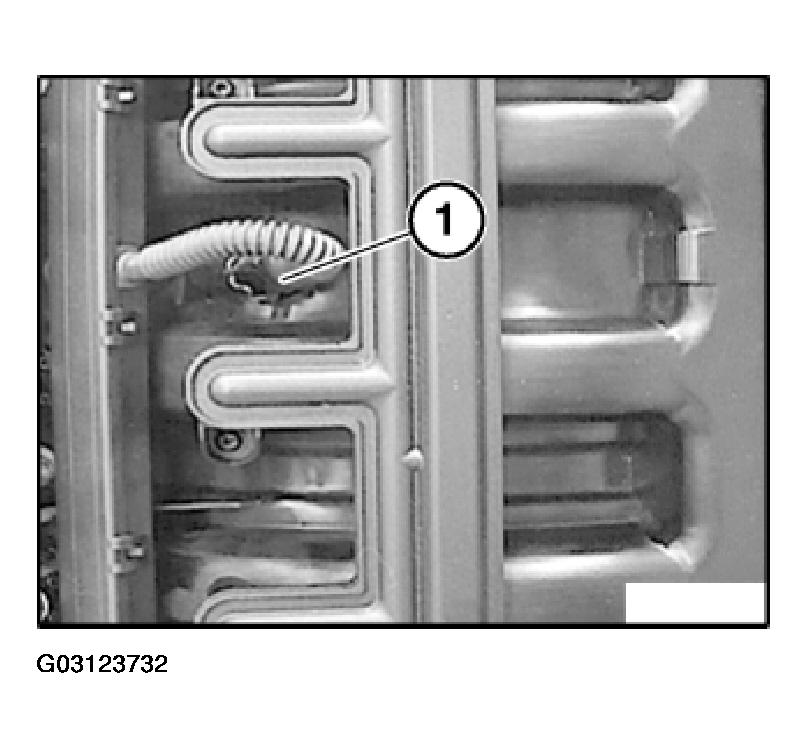 G03123732