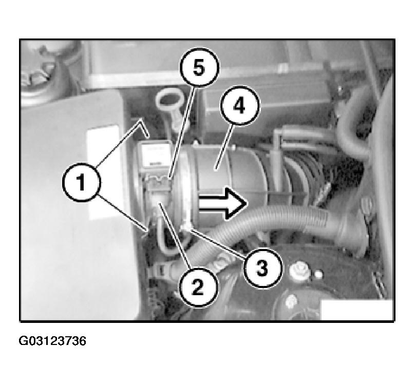 G03123736