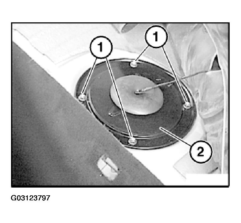 G03123797