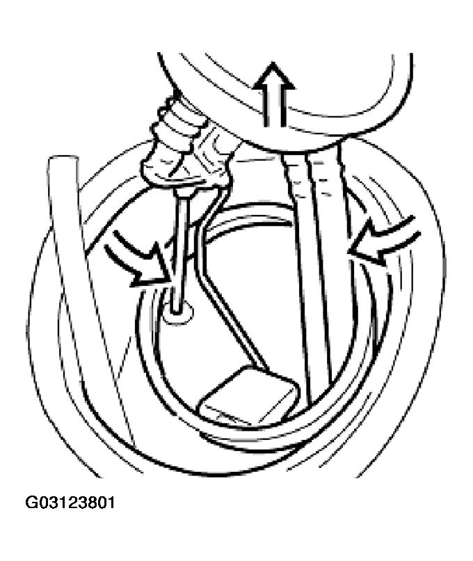 G03123801