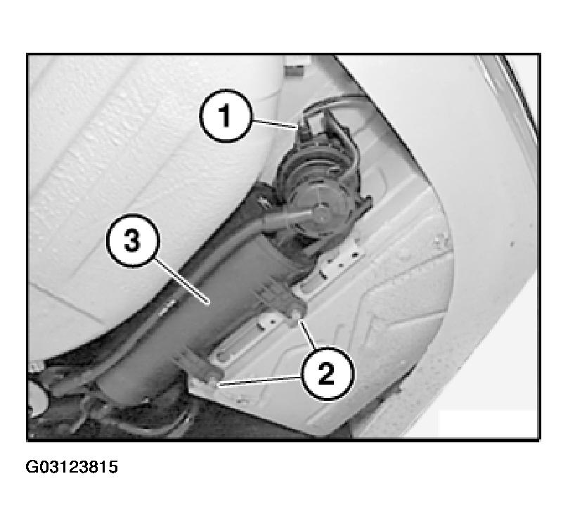 G03123815