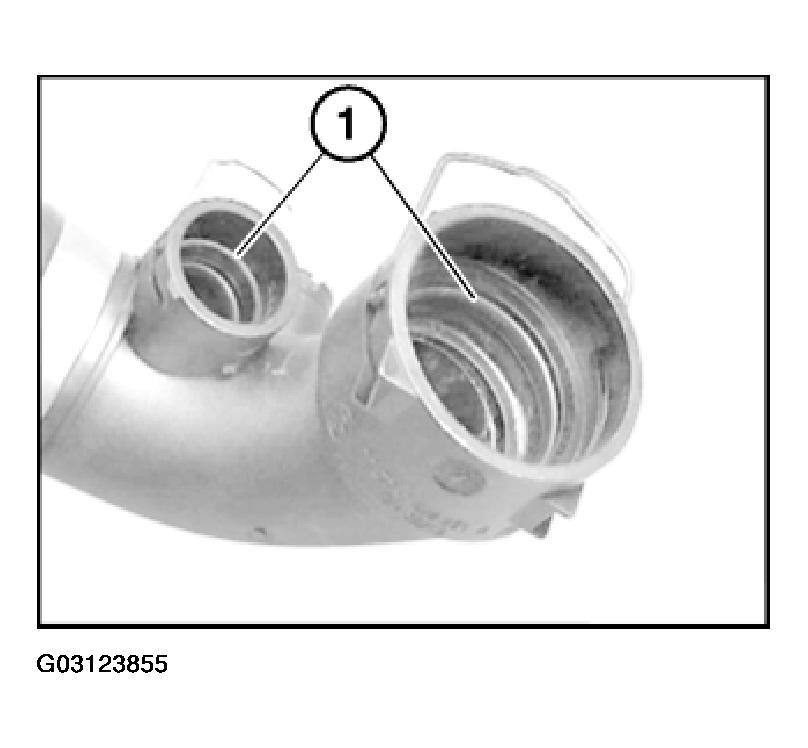 G03123855