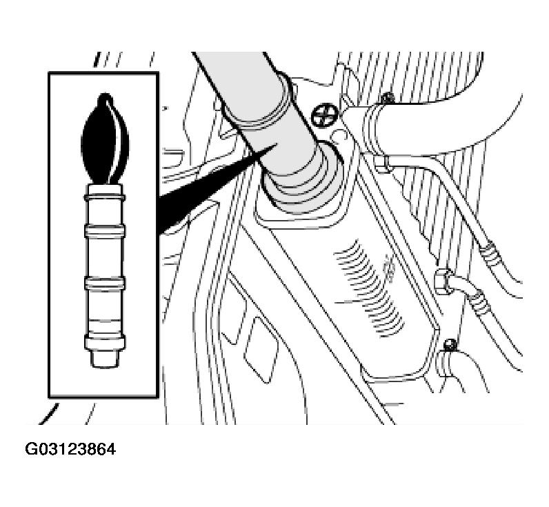 G03123864