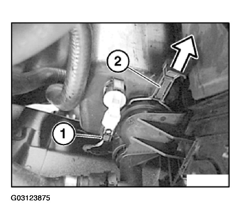 G03123875