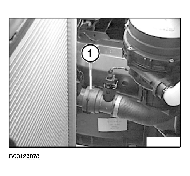 G03123878