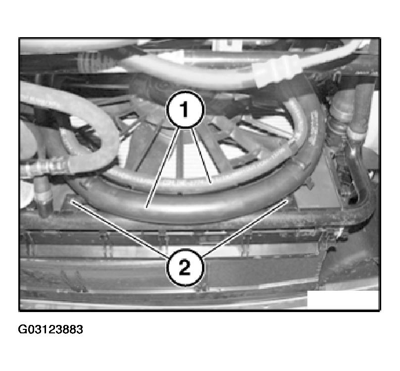 G03123883