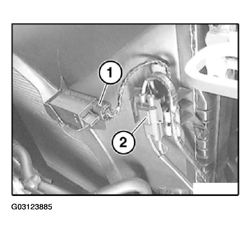 G03123885