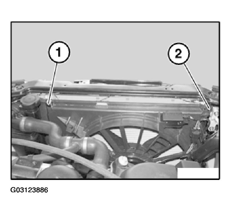 G03123886