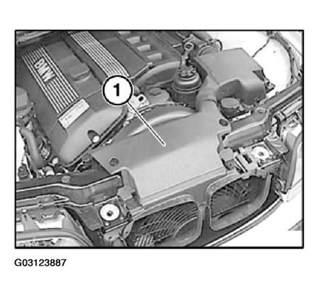 G03123887