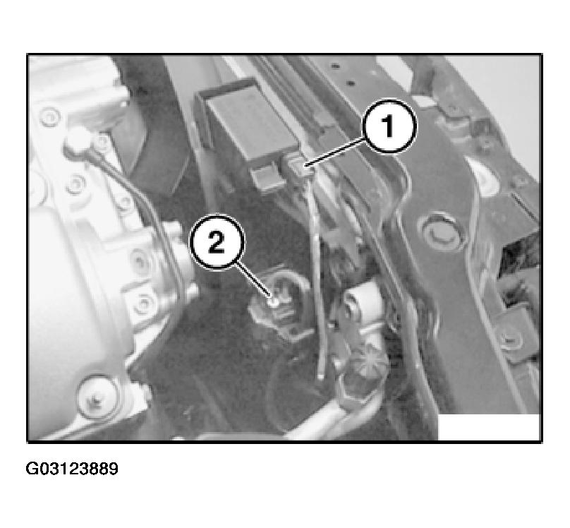 G03123889