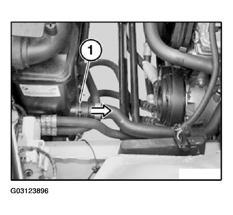 G03123896
