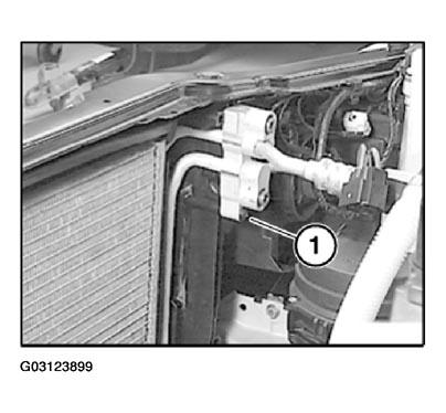 G03123899