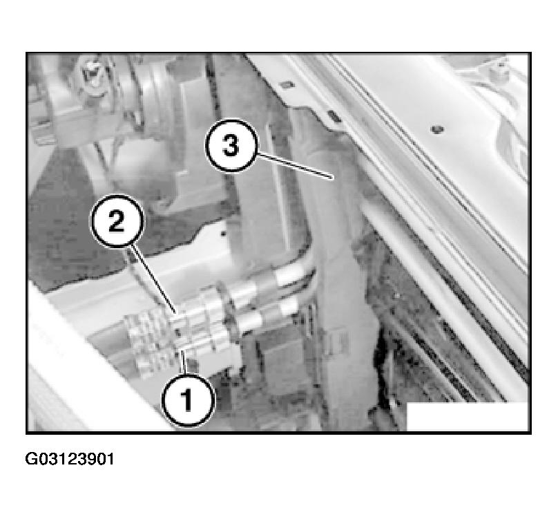 G03123901