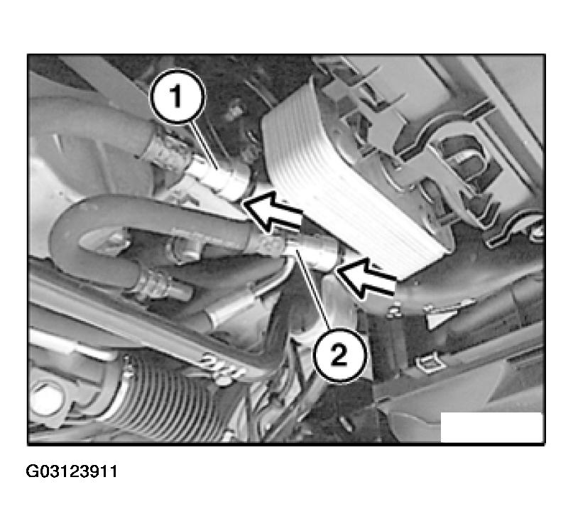 G03123911