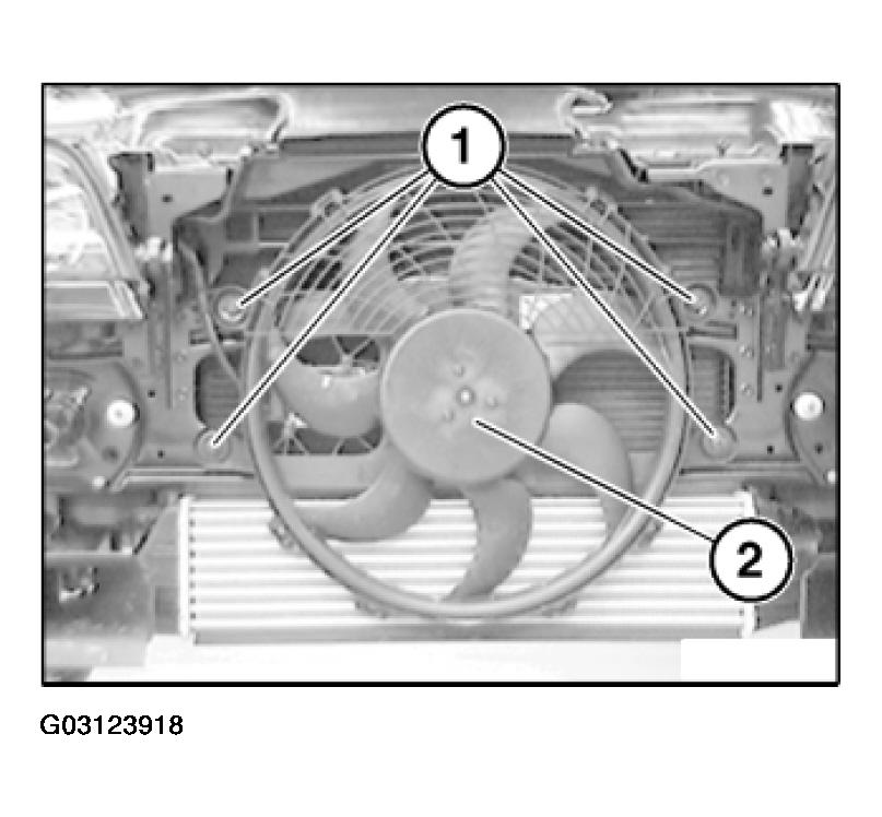 G03123918