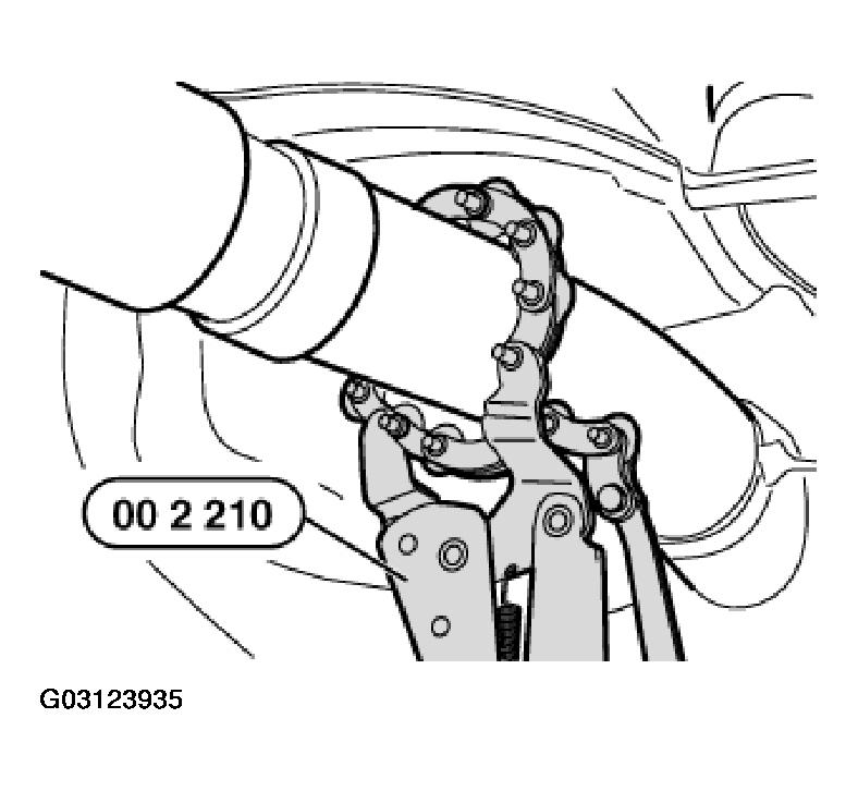 G03123935